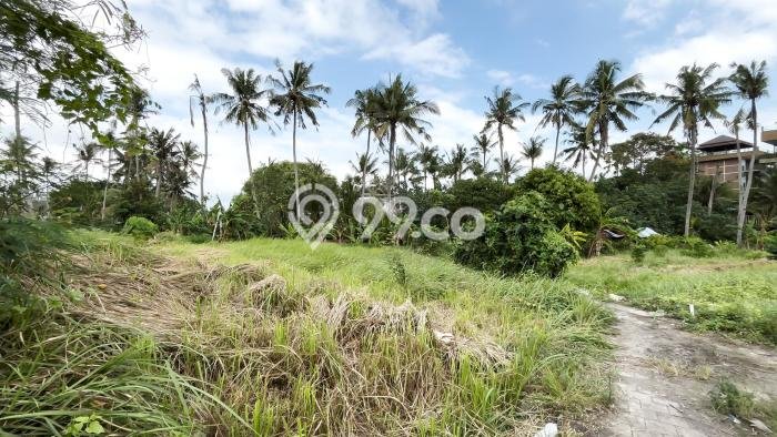 Tanah Dijual Lokasi Strategis di Badung dengan Luas 327m2 Tanah Dijual Lokasi Strategis di Badung dengan Luas 327m2