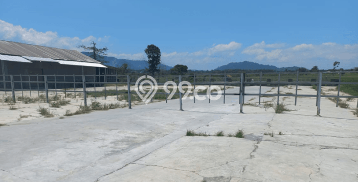 Area Ramai! Komersial Dijual di Randudongkal untuk Bisnis Luas Bangunan 3860m2 Area Ramai! Komersial Dijual di Randudongkal untuk Bisnis Luas Bangunan 3860m2