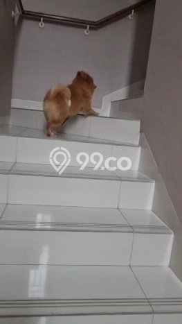 Dijual Rumah Luas Elegan Dengan View Eksklusif di Alam Sutera, Tangerang Dijual Rumah Luas Elegan Dengan View Eksklusif di Alam Sutera, Tangerang