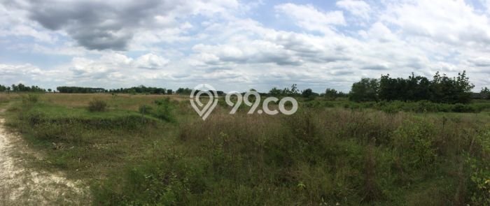 Lahan Strategis di Bojonegoro Dijual dengan Luas 10000m2 Lahan Strategis di Bojonegoro Dijual dengan Luas 10000m2