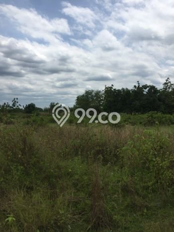 Lahan Strategis di Bojonegoro Dijual dengan Luas 10000m2 Lahan Strategis di Bojonegoro Dijual dengan Luas 10000m2
