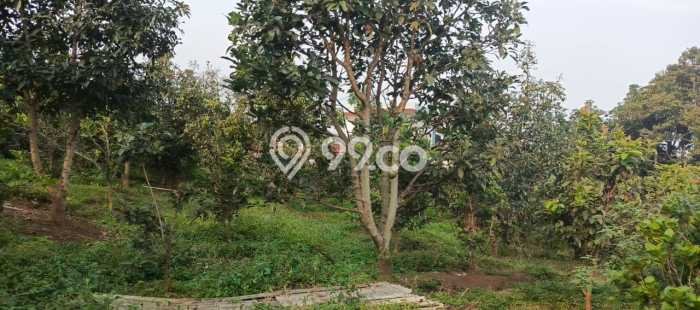 Kavling Tanah Dijual di Bumiaji Batu Spesifikasi 992m2 Kavling Tanah Dijual di Bumiaji Batu Spesifikasi 992m2