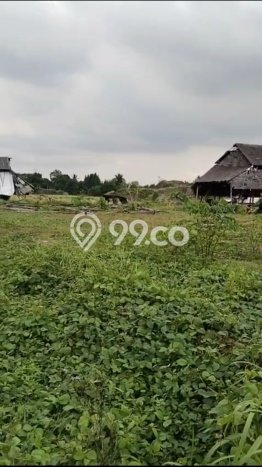 Untuk Dijual Tanah di Cilegon Cilegon Luas 3e+06m2 SHM Untuk Dijual Tanah di Cilegon Cilegon Luas 3e+06m2 SHM