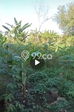 Tanah Dijual Area Strategis di Serang Timur Serang 315m2 Tanah Dijual Area Strategis di Serang Timur Serang 315m2