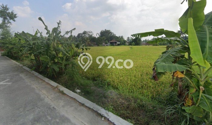 Disewakan Tanah Seluas 6200m2 di Pakem, Sleman Disewakan Tanah Seluas 6200m2 di Pakem, Sleman