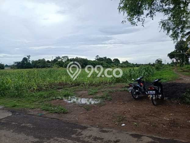 Kavling Tanah di Serang Dijual Luas 300000m2 Legalitas SHM Kavling Tanah di Serang Dijual Luas 300000m2 Legalitas SHM