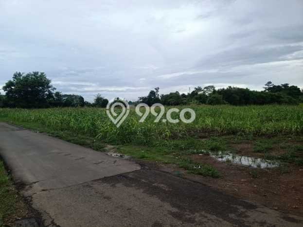 Kavling Tanah di Serang Dijual Luas 300000m2 Legalitas SHM Kavling Tanah di Serang Dijual Luas 300000m2 Legalitas SHM