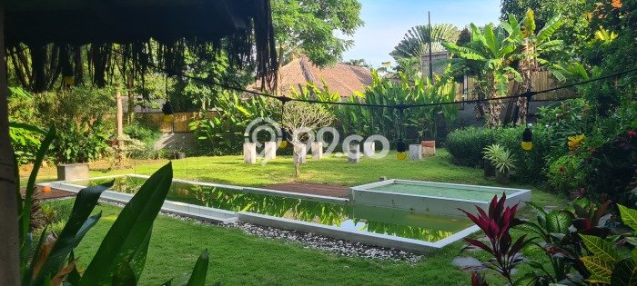 Tanah Dijual di Badung Seluas 2000m2 Strategis Tanah Dijual di Badung Seluas 2000m2 Strategis