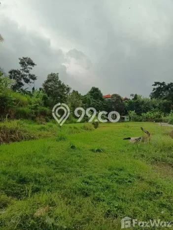 Lahan Dijual Lokasi Kediri, Tabanan dengan Luas Tanah 1300m2 dan Status SHM Lahan Dijual Lokasi Kediri, Tabanan dengan Luas Tanah 1300m2 dan Status SHM