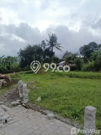 Lahan Dijual Lokasi Kediri, Tabanan dengan Luas Tanah 1300m2 dan Status SHM Lahan Dijual Lokasi Kediri, Tabanan dengan Luas Tanah 1300m2 dan Status SHM