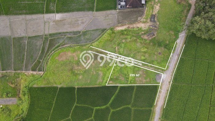 Tanah Kavling Dijual di Tabanan dengan Spesifikasi 295m2 Tanah Kavling Dijual di Tabanan dengan Spesifikasi 295m2
