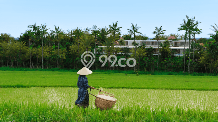 Vila Premium Kawasan Blahbatuh, Area 280m2m², Dekat mudah Blahbatuh, Gianyar, Gianyar Vila Premium Kawasan Blahbatuh, Area 280m2m², Dekat mudah Blahbatuh, Gianyar, Gianyar