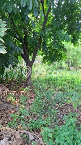 Kavling Tanah untuk Dijual di Pondok Gede, Bekasi, Luas 900m2 Kavling Tanah untuk Dijual di Pondok Gede, Bekasi, Luas 900m2