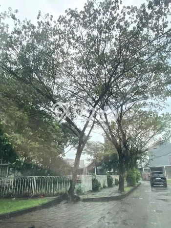 Hunian Murah Dijual di Cibinong, Bogor Harga Rp 69 Juta Hunian Murah Dijual di Cibinong, Bogor Harga Rp 69 Juta