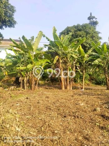 Tanah Kavling untuk Dijual di Banyumanik Semarang 173m2 Tanah Kavling untuk Dijual di Banyumanik Semarang 173m2