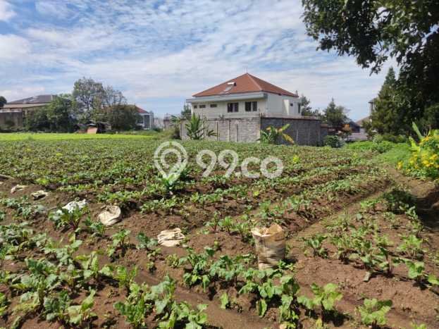 Untuk Dijual Tanah 1980m2 di Setiabudi, Bandung Untuk Dijual Tanah 1980m2 di Setiabudi, Bandung