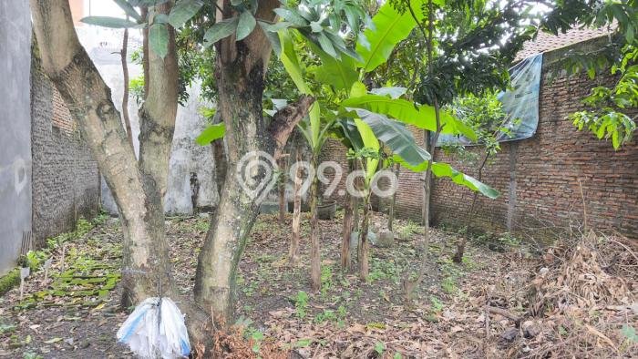 Kavling Tanah Dijual di Laweyan Solo Spesifikasi 143m2 Kavling Tanah Dijual di Laweyan Solo Spesifikasi 143m2