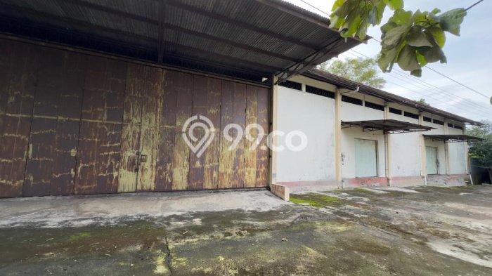 Gudang Komersial Disewakan di Gemolong Sragen Luas 1000m2 Gudang Komersial Disewakan di Gemolong Sragen Luas 1000m2