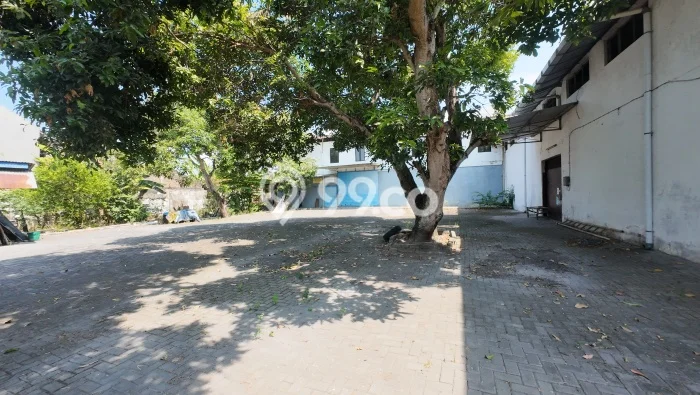 Gudang Disewa di Delanggu, Klaten, LT 2500m2 / LB 1500m2 Gudang Disewa di Delanggu, Klaten, LT 2500m2 / LB 1500m2