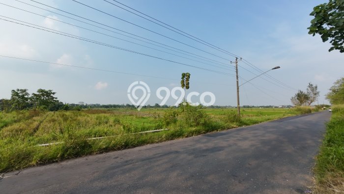 Kavling Tanah di Delanggu Dijual Luas 50000m2 Legalitas SHM Kavling Tanah di Delanggu Dijual Luas 50000m2 Legalitas SHM