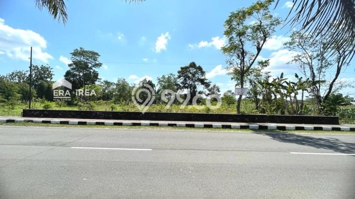 Jarang Ada! Tanah Kavling Disewakan di Boyolali 2586m2 Jarang Ada! Tanah Kavling Disewakan di Boyolali 2586m2