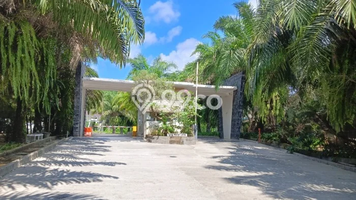 Rumah Minimalis Dijual di Kerambitan 2 Kamar dengan LT 91m2 Rumah Minimalis Dijual di Kerambitan 2 Kamar dengan LT 91m2