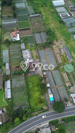 Tanah Siap Bangun Dijual di Tabanan Punya Luas 5000m2 Tanah Siap Bangun Dijual di Tabanan Punya Luas 5000m2