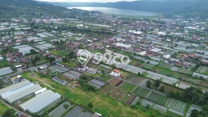 Tanah Siap Bangun Dijual di Tabanan Punya Luas 5000m2 Tanah Siap Bangun Dijual di Tabanan Punya Luas 5000m2