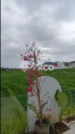 Rumah Eksklusif Best Area di Badung, Bali Rumah Eksklusif Best Area di Badung, Bali