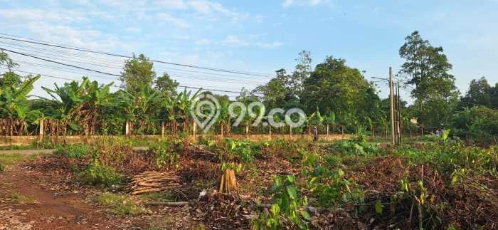 Tanah Dijual Lokasi Cisauk Tangerang SHM Tanah Dijual Lokasi Cisauk Tangerang SHM