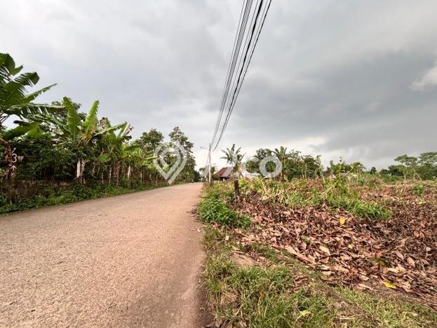 Kavling Tanah Dijual di Setu, Tangerang Selatan, Luas 98m2 Area Strategis Kavling Tanah Dijual di Setu, Tangerang Selatan, Luas 98m2 Area Strategis