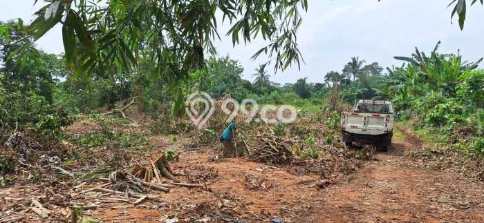 Tanah Dijual Lokasi Cisauk Tangerang SHM Tanah Dijual Lokasi Cisauk Tangerang SHM