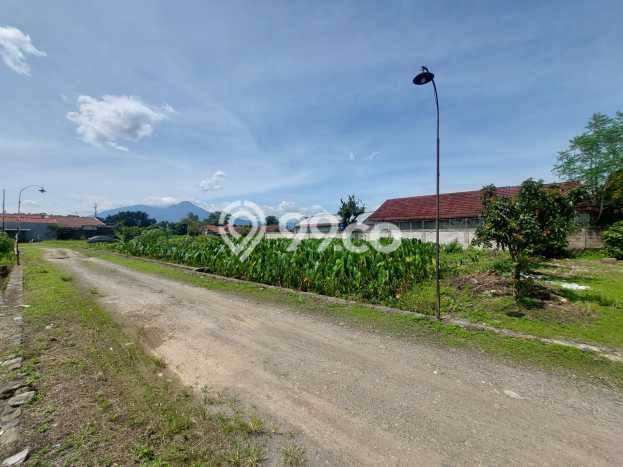 Tanah untuk Dijual Lokasi Dramaga, Bogor Luas 109m2 SHM Tanah untuk Dijual Lokasi Dramaga, Bogor Luas 109m2 SHM