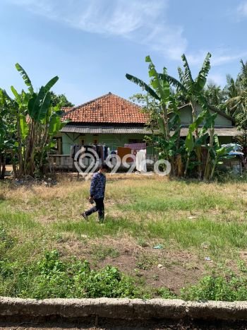 Lahan Dijual Lokasi Sepatan Timur, Tangerang dengan Luas Tanah 525m2 dan Status SHM Lahan Dijual Lokasi Sepatan Timur, Tangerang dengan Luas Tanah 525m2 dan Status SHM