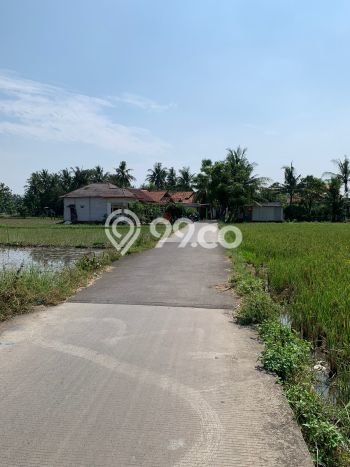 Lahan Dijual Lokasi Sepatan Timur, Tangerang dengan Luas Tanah 525m2 dan Status SHM Lahan Dijual Lokasi Sepatan Timur, Tangerang dengan Luas Tanah 525m2 dan Status SHM