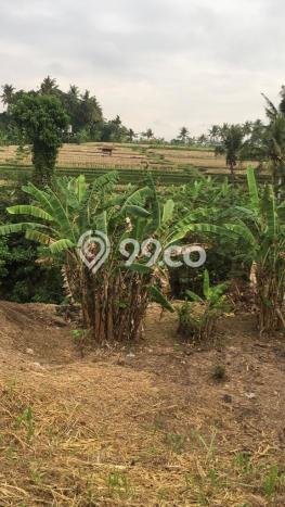 Jarang Ada! Tanah di Gianyar Punya Luas 710m2 SHM Jarang Ada! Tanah di Gianyar Punya Luas 710m2 SHM