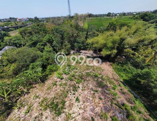 Kavling Tanah Dijual di Kediri Tabanan Spesifikasi 2043m2 Kavling Tanah Dijual di Kediri Tabanan Spesifikasi 2043m2