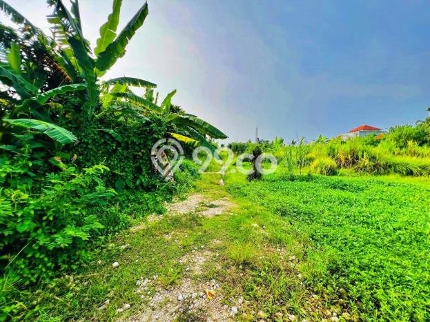 Tanah Dijual Lokasi Kediri, Tabanan dengan Luas Tanah 1060m2 dan Status - Tanah Dijual Lokasi Kediri, Tabanan dengan Luas Tanah 1060m2 dan Status -