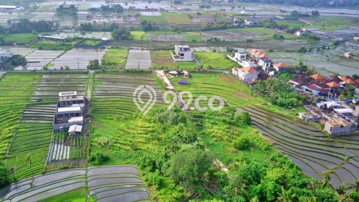 Tanah Dijual Lokasi Kediri, Tabanan dengan Luas Tanah 1060m2 dan Status - Tanah Dijual Lokasi Kediri, Tabanan dengan Luas Tanah 1060m2 dan Status -