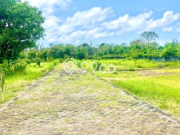 Tanah Kavling Dijual di Badung dengan Spesifikasi 550m2 Tanah Kavling Dijual di Badung dengan Spesifikasi 550m2