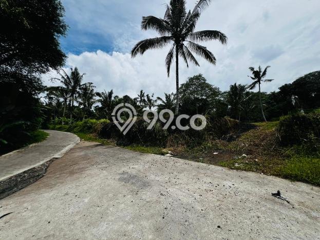 Lahan Dijual Lokasi Ubud, Gianyar dengan Luas Tanah 955m2 dan Status - Lahan Dijual Lokasi Ubud, Gianyar dengan Luas Tanah 955m2 dan Status -