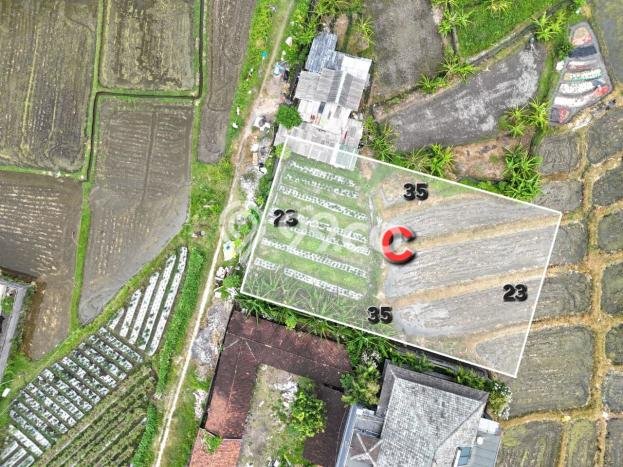 Dijual Tanah di Denpasar Barat Denpasar Luas 2016m2 - Dijual Tanah di Denpasar Barat Denpasar Luas 2016m2 -