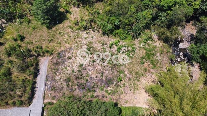 Kavling Tanah Dijual di Kediri Tabanan Spesifikasi 2043m2 Kavling Tanah Dijual di Kediri Tabanan Spesifikasi 2043m2