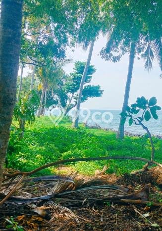 Lahan untuk Dijual Lokasi Buleleng, Buleleng Luas 8600m2 - Lahan untuk Dijual Lokasi Buleleng, Buleleng Luas 8600m2 -