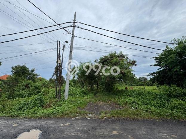 Kavling Tanah Dijual di Kediri Tabanan Spesifikasi 2265m2 Kavling Tanah Dijual di Kediri Tabanan Spesifikasi 2265m2