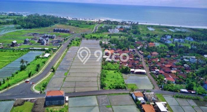 Kavling Tanah Dijual di Kediri Tabanan Spesifikasi 1446m2 Kavling Tanah Dijual di Kediri Tabanan Spesifikasi 1446m2