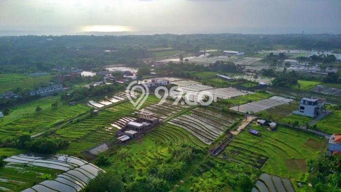 Tanah Dijual Lokasi Kediri, Tabanan dengan Luas Tanah 1060m2 dan Status - Tanah Dijual Lokasi Kediri, Tabanan dengan Luas Tanah 1060m2 dan Status -