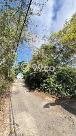 Kavling Tanah Dijual di Kuta Selatan Badung Spesifikasi 1000m2 Kavling Tanah Dijual di Kuta Selatan Badung Spesifikasi 1000m2