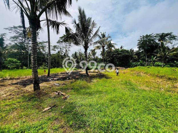 Lahan Dijual Lokasi Ubud, Gianyar dengan Luas Tanah 955m2 dan Status - Lahan Dijual Lokasi Ubud, Gianyar dengan Luas Tanah 955m2 dan Status -
