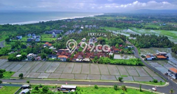 Kavling Tanah Dijual di Kediri Tabanan Spesifikasi 1446m2 Kavling Tanah Dijual di Kediri Tabanan Spesifikasi 1446m2